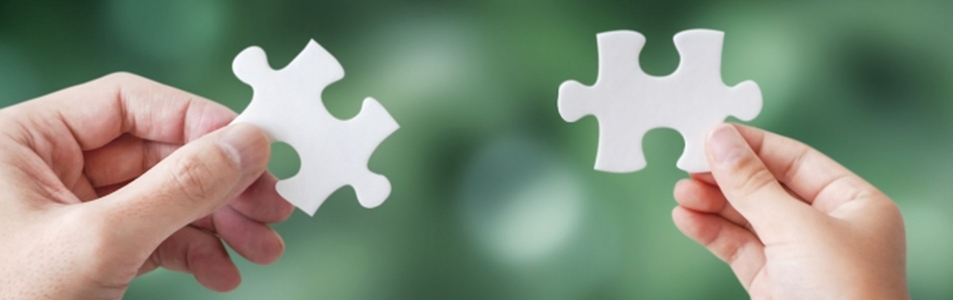 法律事務所イマイズミ